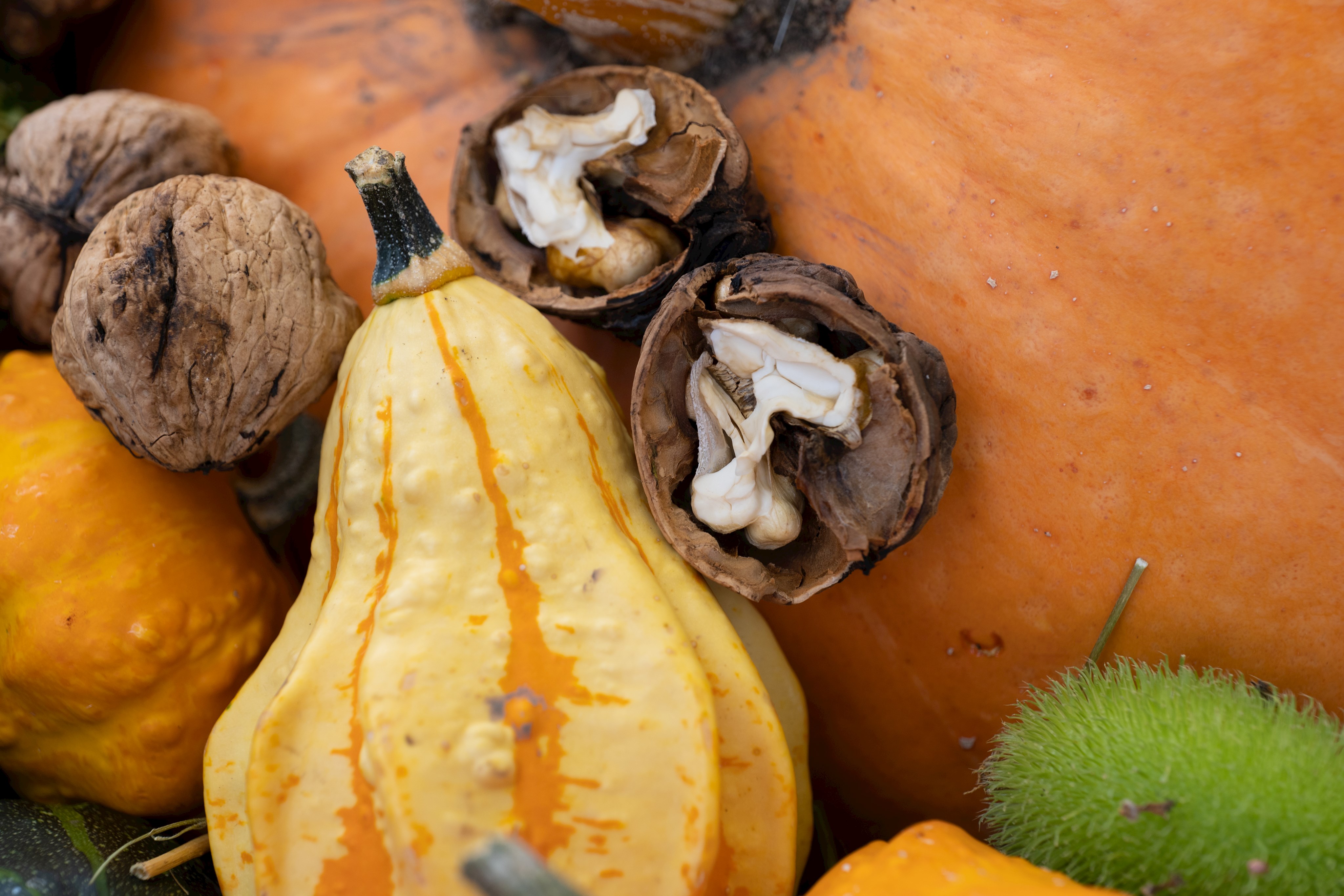 HerbstErlebnisTag im Museum KulturLand Ries